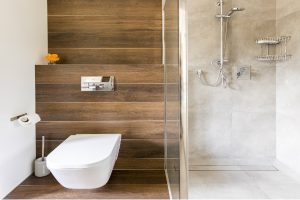 Bathroom Renovation Why Tankless Toilets Are Becoming Popular1